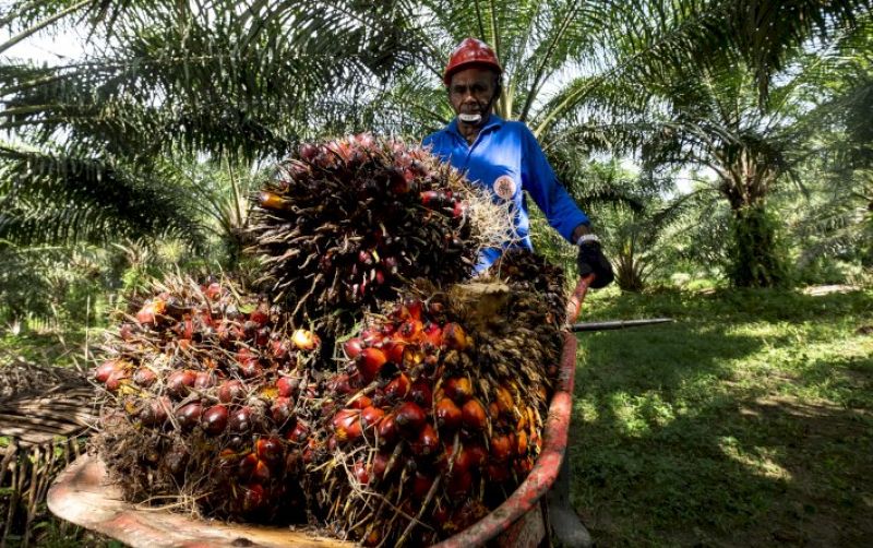 uploads/news/2026/05/pengusaha-asosiasi-petani-dikumpulkan-bahas-76337a7df2a0be1.jpg