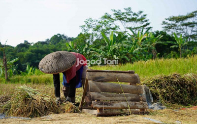 uploads/news/2026/05/sektor-pertanian-masuk-tiga-51159f80b26eb13_400.jpeg