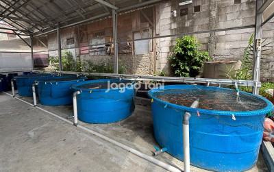 uploads/news/2026/05/sistem-bioflok-jadi-pilihan-606456cb5465122_400.jpg
