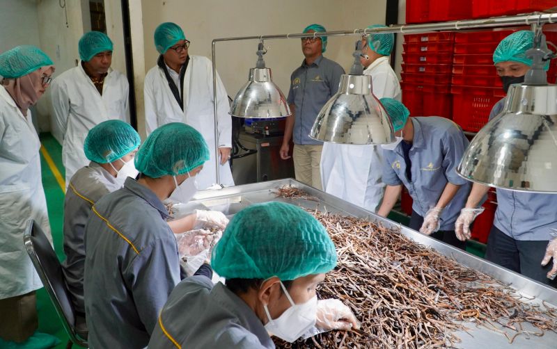 uploads/news/2026/05/vanila-indonesia-diburu-pasar-98866fac94dfdac.jpg