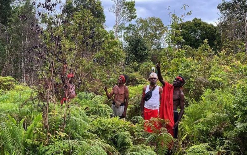 uploads/news/2026/06/ancaman-degradasi-hutan-uu-330438b9f091982.jpg