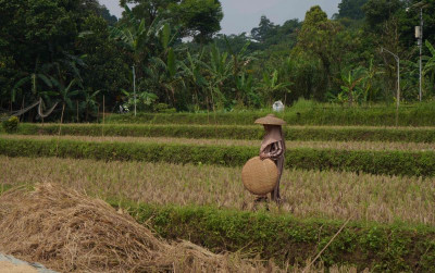 uploads/news/2026/06/dinamika-iklim-percepatan-tanam-7663660e7c28208_400.jpeg