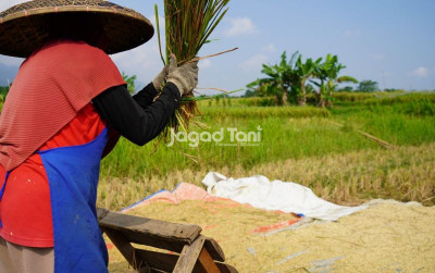 uploads/news/2026/06/indonesia-dan-sejumlah-negara-845063335288743_400.jpeg