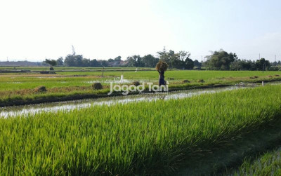 uploads/news/2026/06/kalahkan-jateng-jabar-jatim-jadi-82546d803612f4e_400.jpg
