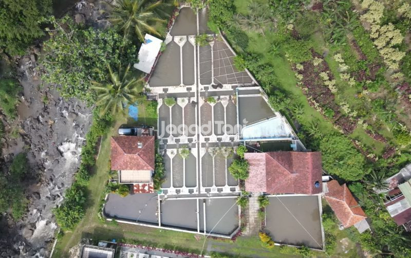 uploads/news/2026/06/keunggulan-budidaya-ikan-sistem-957854a9705e9e5.jpeg