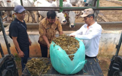 uploads/news/2026/06/perkuat-cadangan-pakan-ternak--5608775932eaca7_400.png