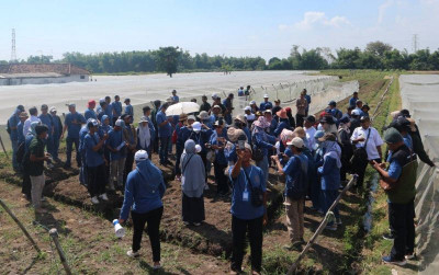 uploads/news/2026/06/pertanian-berbasis-teknologi-bisa-408603499087e62_400.jpg