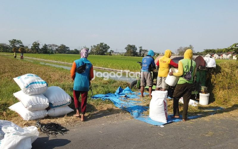 uploads/news/2026/06/sidrap-terus-perkuat-posisinya-487615105c00480.jpeg