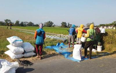 uploads/news/2026/06/sidrap-terus-perkuat-posisinya-487615105c00480_400.jpeg