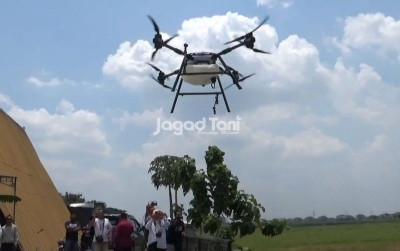 uploads/news/2026/07/amran-siapkan-penanaman-pengangkutan-hasil-13116a870079f46_400.jpeg