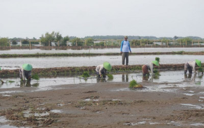 uploads/news/2026/07/antisipasi-kemarau-panjang-batang-32877ef4c9a65e9_400.jpeg