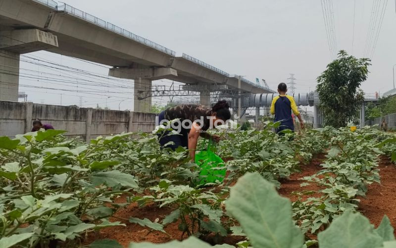 uploads/news/2026/07/atasi-kemarau-panjang-bmkg-73783df60c54d22.jpg