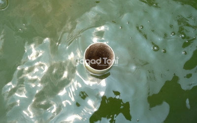 uploads/news/2026/07/buang-air-kolam-otomatis-90392a36e674493_400.jpeg