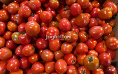 uploads/news/2026/07/hasil-produksi-melimpah-harga-121235eada3ee4b_400.jpg