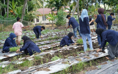 uploads/news/2026/07/kelompok-tani-milenial-tanam-353829e8a3b5eea_400.jpg