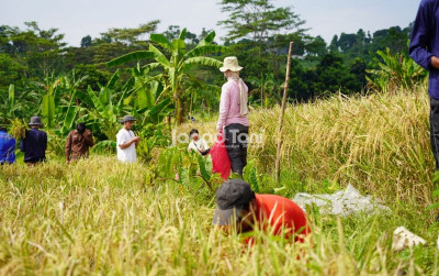 uploads/news/2026/07/masuki-puncak-kemarau-petani-2927121199bbba3_400.jpeg