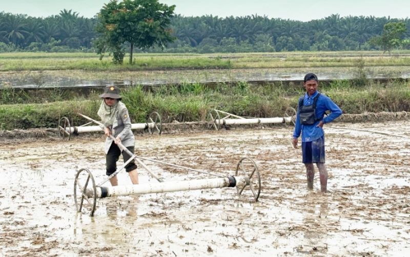 uploads/news/2026/07/mengenal-metode-tanam-padi-136046197cb02b4.png