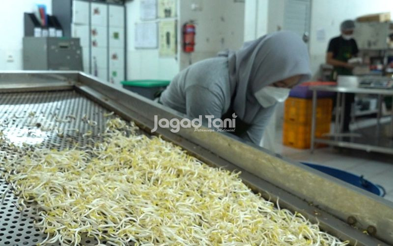 uploads/news/2026/07/menjajal-peluang-pemasaran-dari-2382346ca49f03d.jpeg
