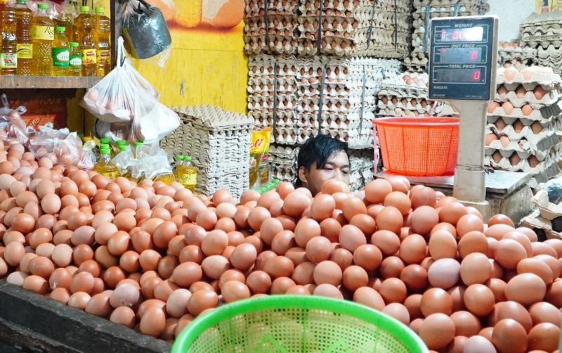 uploads/news/2026/07/pasca-penetapan-harga-telur-25393eb765bccf6.jpg