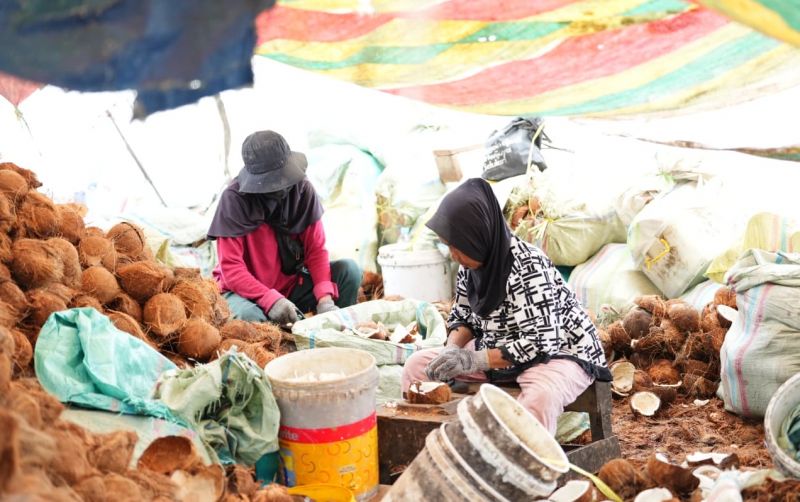 uploads/news/2026/07/tembus-pasar-asia-kelapa-11136ff776b3b84.jpg