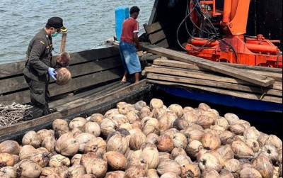 uploads/news/2026/08/80-000-bibit-kelapa-natuna-64529db694fb2ed_400.jpeg
