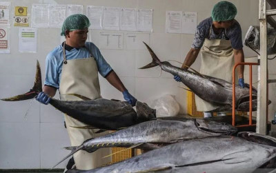 uploads/news/2026/08/aturan-baru-pengangkutan-barang-98846a154d9162b_400.jpeg
