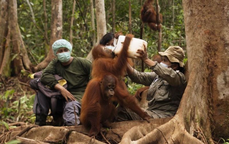 uploads/news/2026/08/dikepung-karhutla-bagaimana-nasib-332633047cec47c.jpg