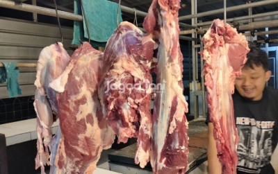 uploads/news/2026/08/harga-daging-sapi-naik--9650145173daa25_400.jpg
