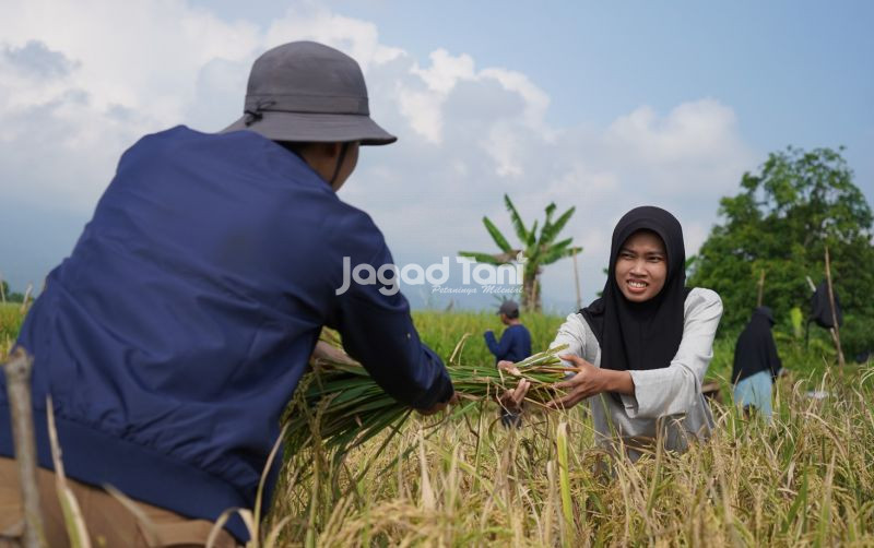 uploads/news/2026/08/jaga-keberlanjutan-petani-harus-144178ecab3b678.jpg