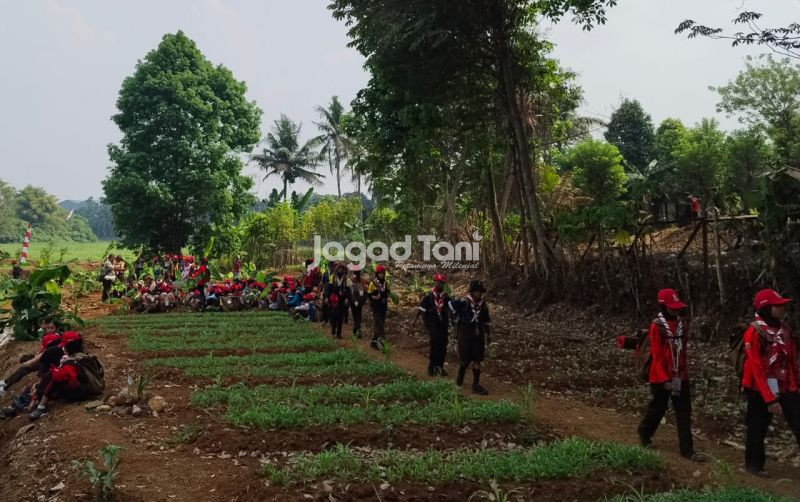uploads/news/2026/08/jambore-nasional-peran-hutan-9831157129109cf.jpg