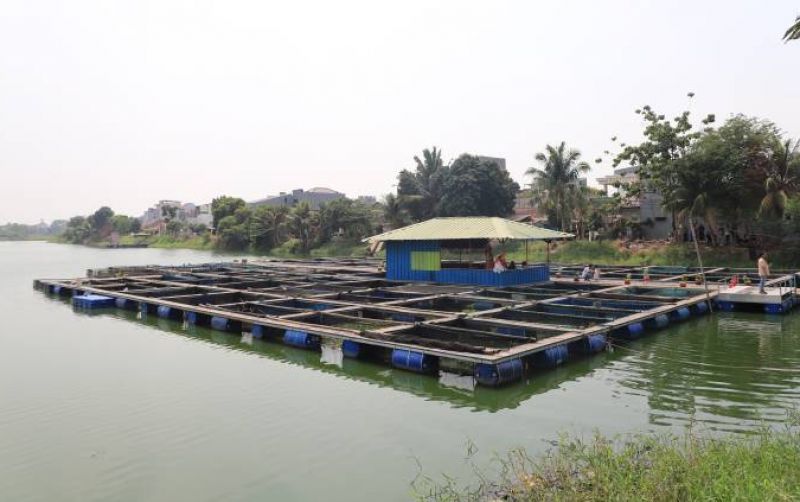 uploads/news/2026/08/kampung-wisata-keramba-22--2424385f9358369.jpg