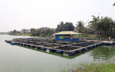 uploads/news/2026/08/kampung-wisata-keramba-22--2424385f9358369_400.jpg