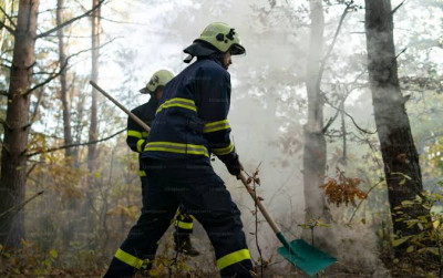 uploads/news/2026/08/merk-fire-shovel-pilihan-907370dab6fe960_400.jpg
