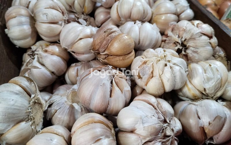 uploads/news/2026/08/perkuat-produksi-bawang-putih-14065d5aca0bc5b.jpeg