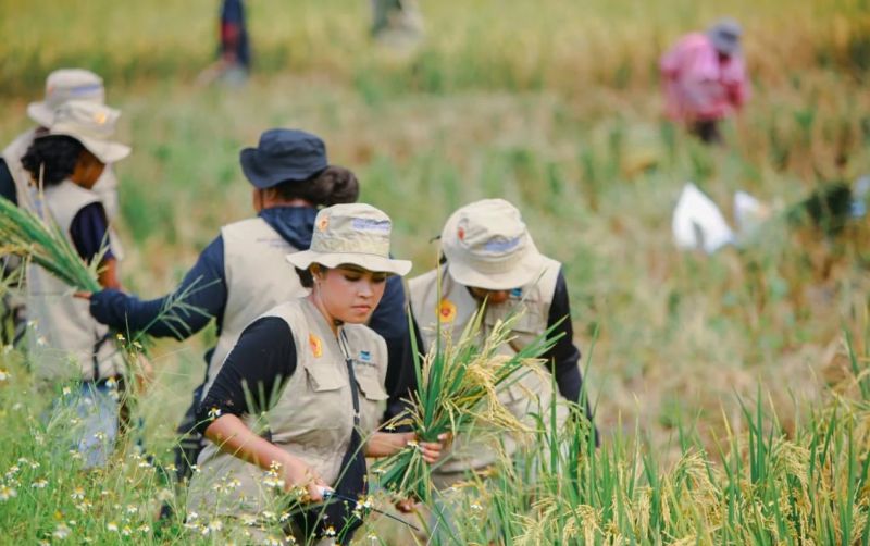 uploads/news/2026/08/petani-panduani-kepulauan-yapen--6056350d60e8b2a.jpeg