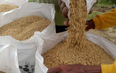 uploads/news/2026/08/petani-penajam-terima-kepastian-55284f2afb4076f_400.jpg