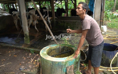 uploads/news/2026/08/peternak-tonjong-sulap-kotoran-98387b0430b86fd_400.jpeg