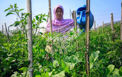 uploads/news/2026/08/sistem-pertanian-yang-menguntungkan--803617559a23706_400.jpeg