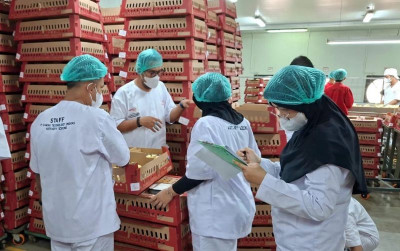 uploads/news/2026/09/ayam-doc-pandeglang-dilakukan-574287dd3dda4b1_400.jpg