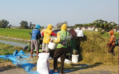 uploads/news/2026/09/bps-kesejahteraan-petani-sulawesi-46247702d6104fd_400.jpg