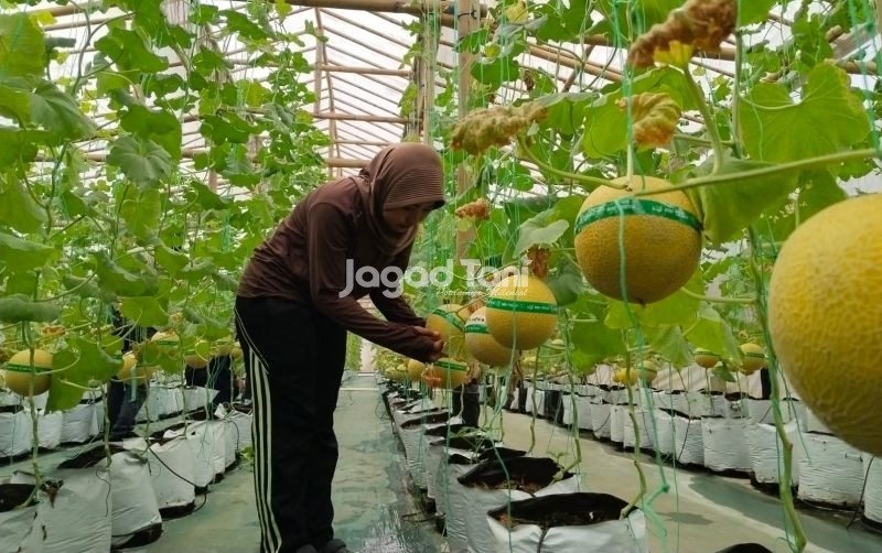 uploads/news/2026/09/cara-mengurangi-stres-akar-170708328627530.jpeg