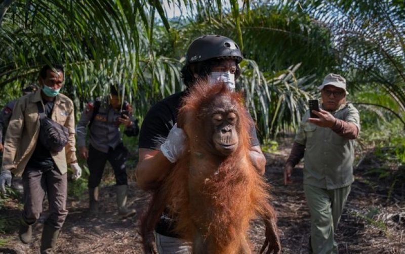 uploads/news/2026/09/meluasnya-karhutla-bksda-kalbar-312462b93f82a52.jpeg