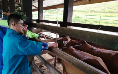 uploads/news/2026/09/mutu-bibit-sapi-aceh-31522d7289053a7_400.jpeg