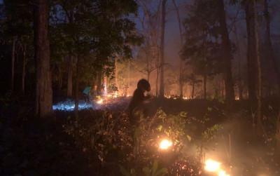 uploads/news/2026/09/pelaku-pembakaran-hutan-di-35763604629b36b_400.jpeg