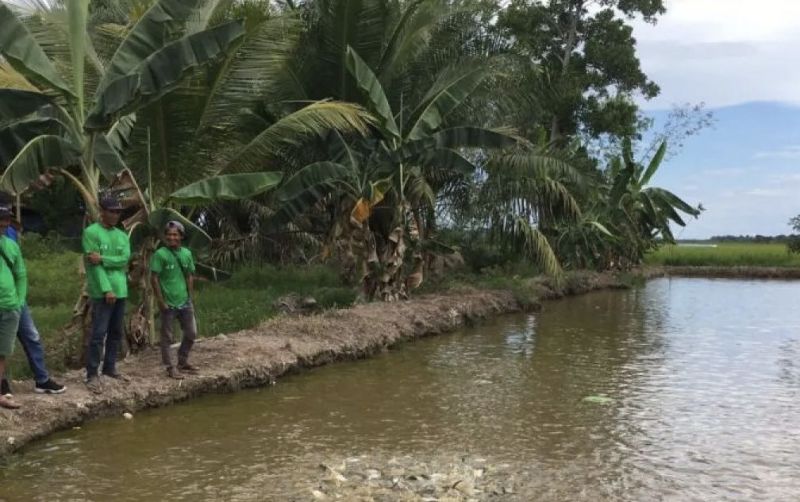 uploads/news/2026/09/pembudidaya-ikan-diarahkan-gandeng-34481b5759e4d29.jpg