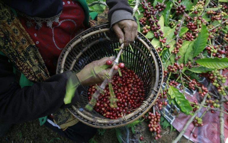 uploads/news/2026/09/pemuda-aceh-tengah-diajak-388057e35e9abf5.jpeg