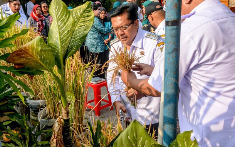 uploads/news/2026/09/penanaman-padi-dalam-pot--238758ed27c81f8.jpg