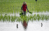 uploads/news/2026/09/pengelolaan-irigasi-di-sleman-94566baebb9900d_100.jpeg