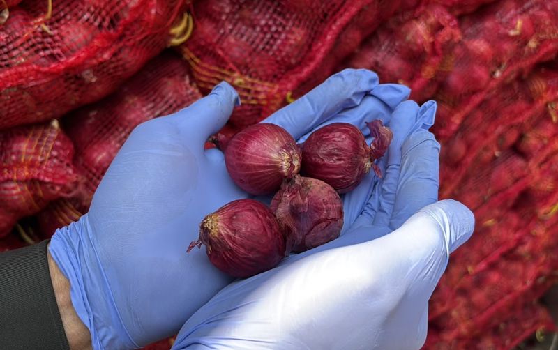 uploads/news/2026/09/penyebab-bawang-merah-jakarta-62869bfd032f04d.jpg