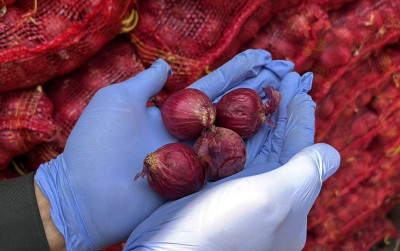 uploads/news/2026/09/penyebab-bawang-merah-jakarta-62869bfd032f04d_400.jpg